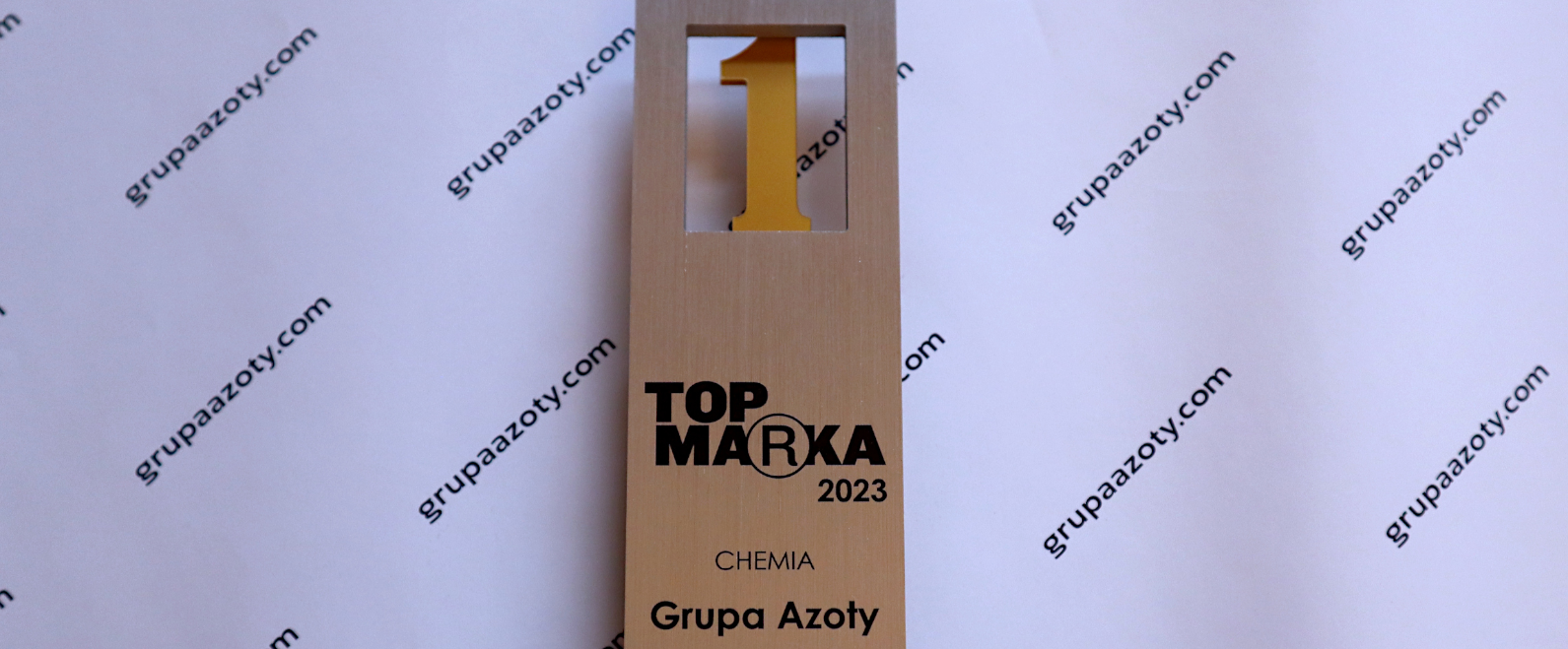 Top Marka 2023 – Grupa Azoty najsilniejszą marką w branży chemicznej 