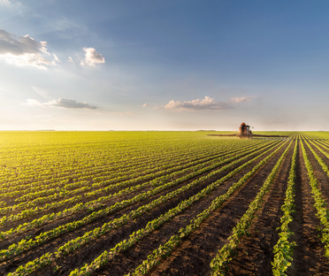 Grupa Azoty rozwija sprzedaż w obszarze AGRO na rynku ukraińskim